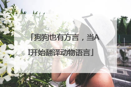 狗狗也有方言，当AI开始翻译动物语言
