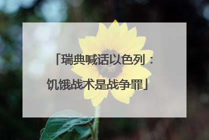 瑞典喊话以色列：饥饿战术是战争罪