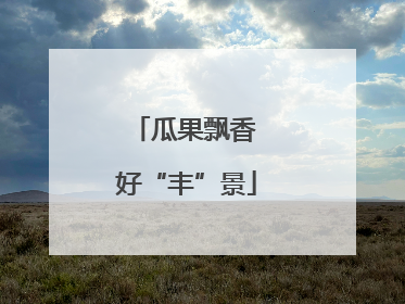 瓜果飘香 好“丰”景