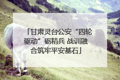 甘肃灵台公安“四轮驱动”砺精兵 战训融合筑牢平安基石