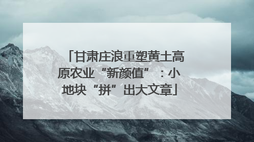 甘肃庄浪重塑黄土高原农业“新颜值”：小地块“拼”出大文章