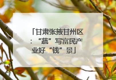 甘肃张掖甘州区：“蔬”写富民产业好“钱”景
