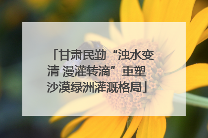 甘肃民勤“浊水变清 漫灌转滴”重塑沙漠绿洲灌溉格局
