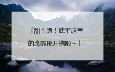 甜！脆！武平这里的鹰嘴桃开摘啦～