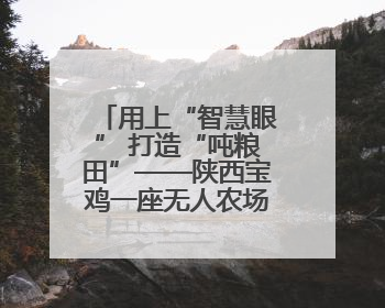 用上“智慧眼” 打造“吨粮田”——陕西宝鸡一座无人农场夏收见闻