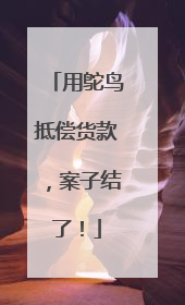 用鸵鸟抵偿货款，案子结了！