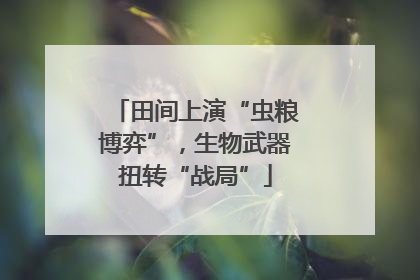 田间上演“虫粮博弈”，生物武器扭转“战局”
