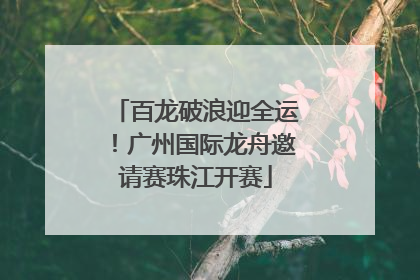 百龙破浪迎全运！广州国际龙舟邀请赛珠江开赛