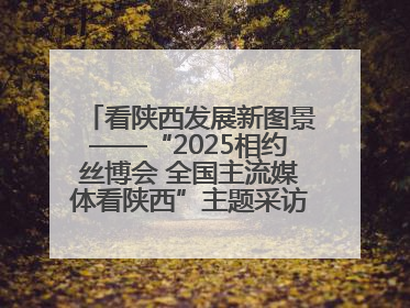 看陕西发展新图景——“2025相约丝博会 全国主流媒体看陕西”主题采访活动见闻