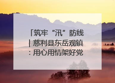 筑牢“汛”防线｜慈利县东岳观镇：用心用情架好党群温暖悠长的“连心桥”