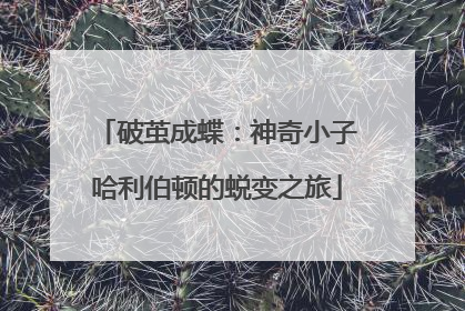 破茧成蝶：神奇小子哈利伯顿的蜕变之旅