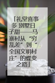 礼堂喜事多 别墅日子甜——马寨村从“穷乱差”到“全国文明村庄”的蝶变之路