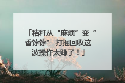 秸秆从“麻烦”变“香饽饽” 打捆回收这波操作太赚了！