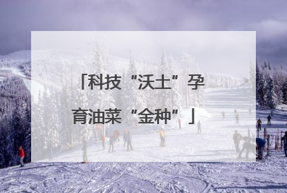 科技“沃土”孕育油菜“金种”