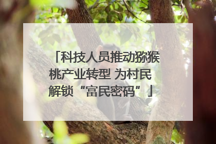 科技人员推动猕猴桃产业转型 为村民解锁“富民密码”