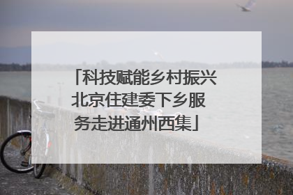 科技赋能乡村振兴 北京住建委下乡服务走进通州西集