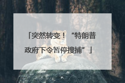 突然转变！“特朗普政府下令暂停搜捕”