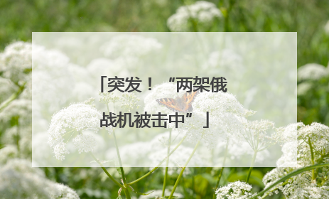 突发！“两架俄战机被击中”