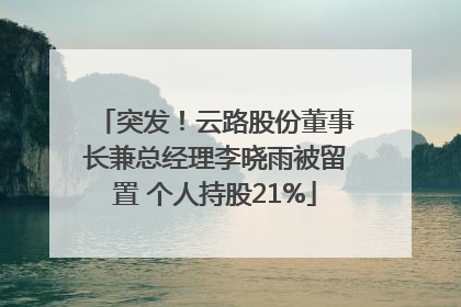 突发！云路股份董事长兼总经理李晓雨被留置 个人持股21%