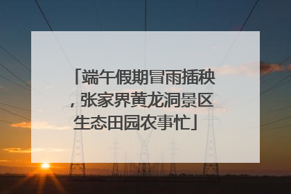 端午假期冒雨插秧，张家界黄龙洞景区生态田园农事忙