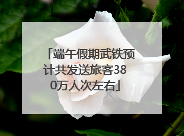 端午假期武铁预计共发送旅客380万人次左右