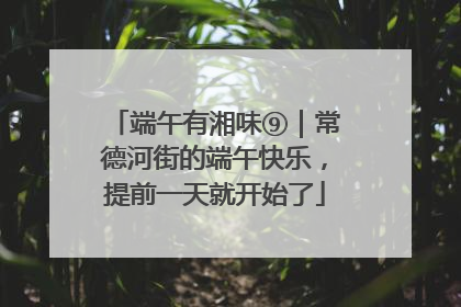 端午有湘味⑨｜常德河街的端午快乐，提前一天就开始了