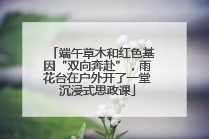 端午草木和红色基因“双向奔赴”，雨花台在户外开了一堂沉浸式思政课