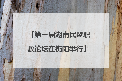 第三届湖南民盟职教论坛在衡阳举行