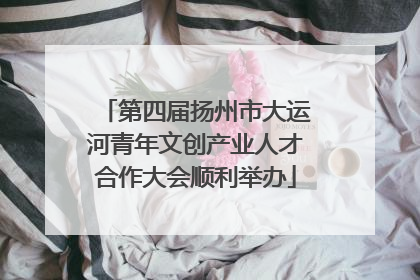 第四届扬州市大运河青年文创产业人才合作大会顺利举办