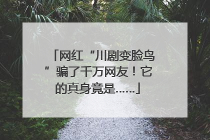网红“川剧变脸鸟”骗了千万网友！它的真身竟是……