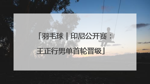 羽毛球｜印尼公开赛：王正行男单首轮晋级