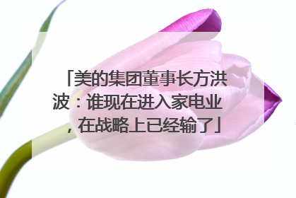 美的集团董事长方洪波：谁现在进入家电业，在战略上已经输了