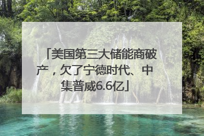 美国第三大储能商破产，欠了宁德时代、中集普威6.6亿