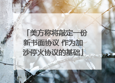 美方称将敲定一份新书面协议 作为加沙停火协议的基础