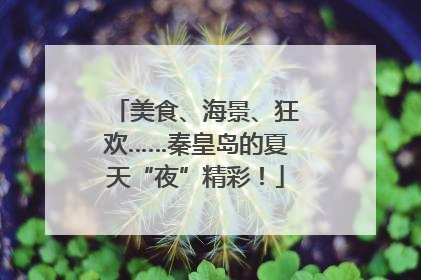 美食、海景、狂欢……秦皇岛的夏天“夜”精彩！