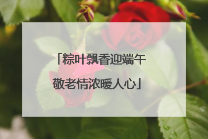 粽叶飘香迎端午 敬老情浓暖人心