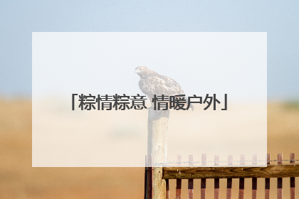 粽情粽意 情暖户外