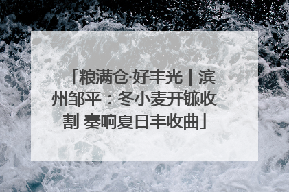 粮满仓·好丰光｜滨州邹平：冬小麦开镰收割 奏响夏日丰收曲