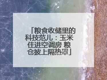 粮食收储里的科技范儿：玉米住进空调房 粮仓披上隔热罩