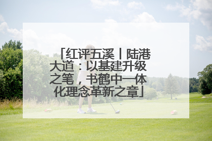 红评五溪丨陆港大道：以基建升级之笔，书鹤中一体化理念革新之章