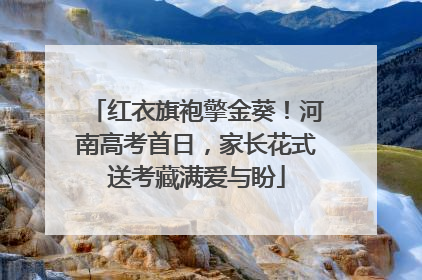 红衣旗袍擎金葵！河南高考首日，家长花式送考藏满爱与盼