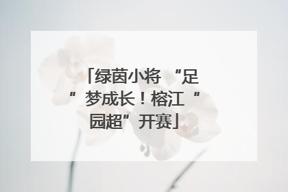 绿茵小将 “足”梦成长！榕江“园超”开赛