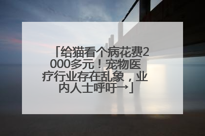 给猫看个病花费2000多元！宠物医疗行业存在乱象，业内人士呼吁→