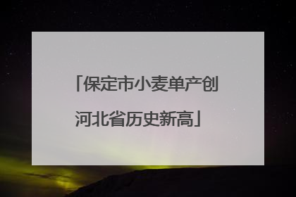 保定市小麦单产创河北省历史新高