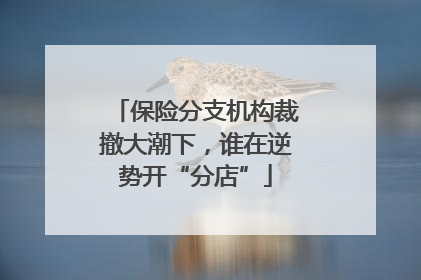 保险分支机构裁撤大潮下，谁在逆势开“分店”