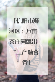 信阳市浉河区：万亩茶庄园飘出“三产融合”香