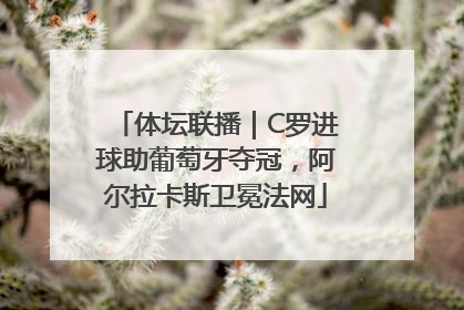 体坛联播｜C罗进球助葡萄牙夺冠，阿尔拉卡斯卫冕法网