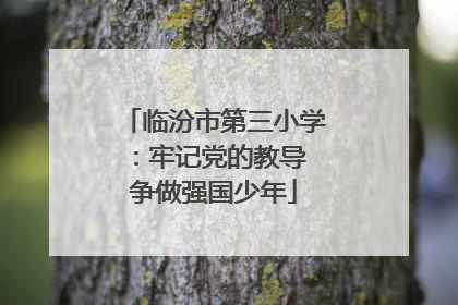 临汾市第三小学：牢记党的教导 争做强国少年