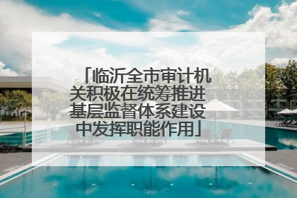 临沂全市审计机关积极在统筹推进基层监督体系建设中发挥职能作用