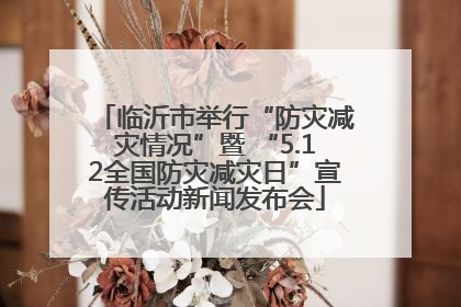 临沂市举行“防灾减灾情况”暨 “5.12全国防灾减灾日”宣传活动新闻发布会